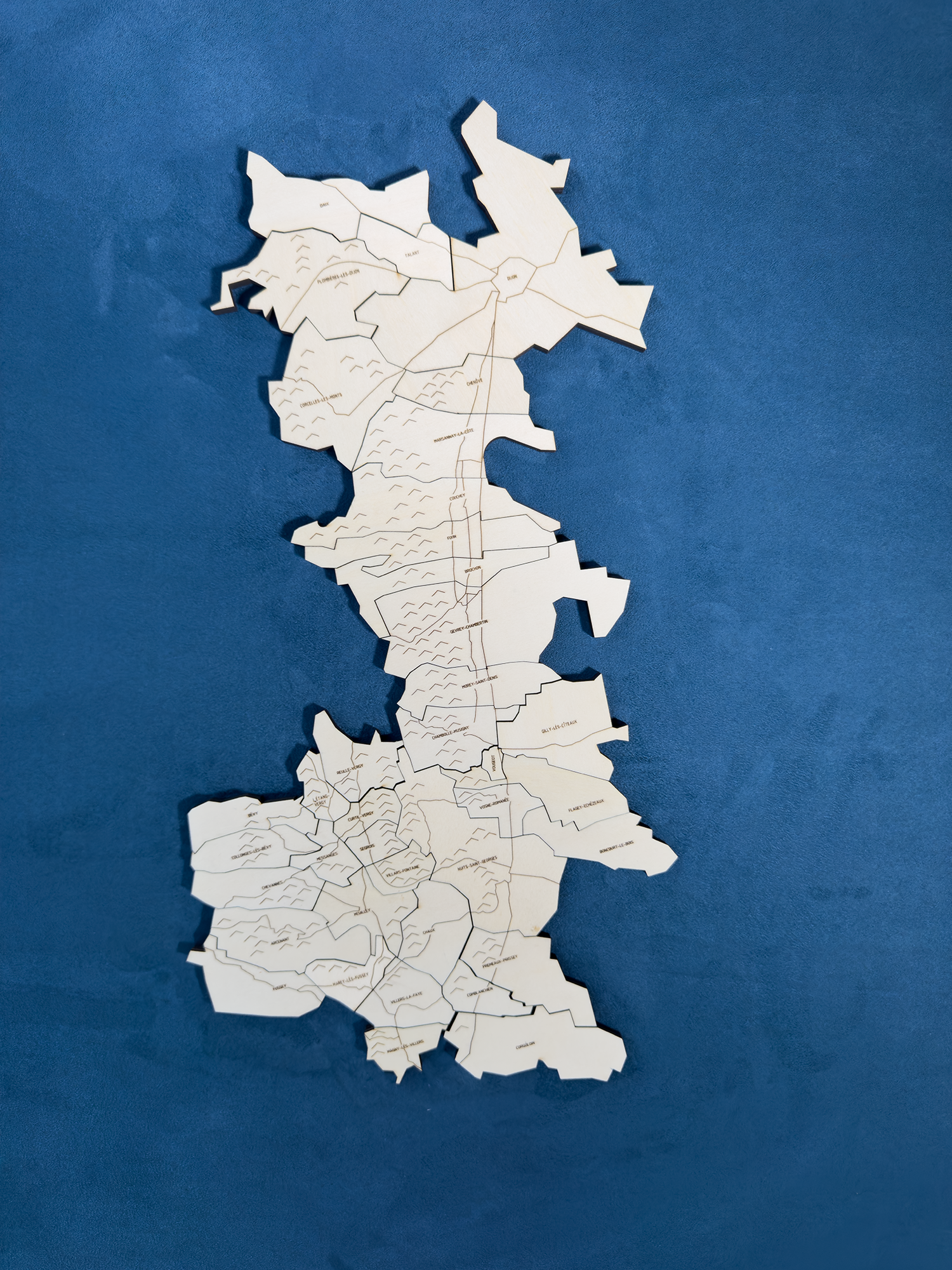 Côte de Nuits, the Puzzle Map