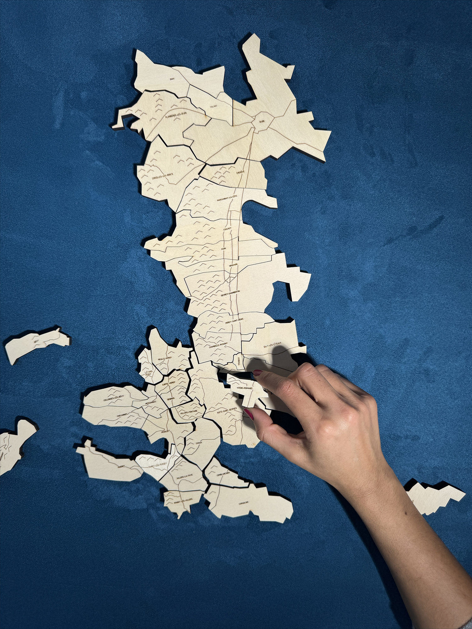 Côte de Nuits, the Puzzle Map