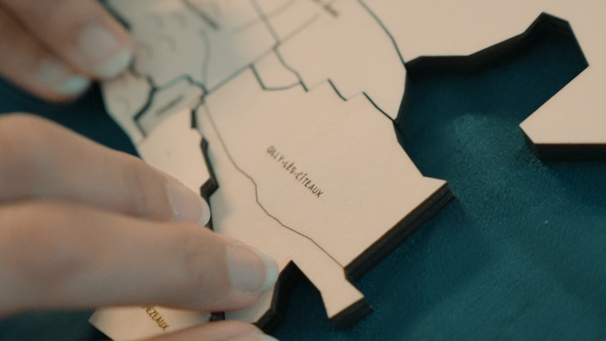 Côte de Nuits, the Puzzle Map