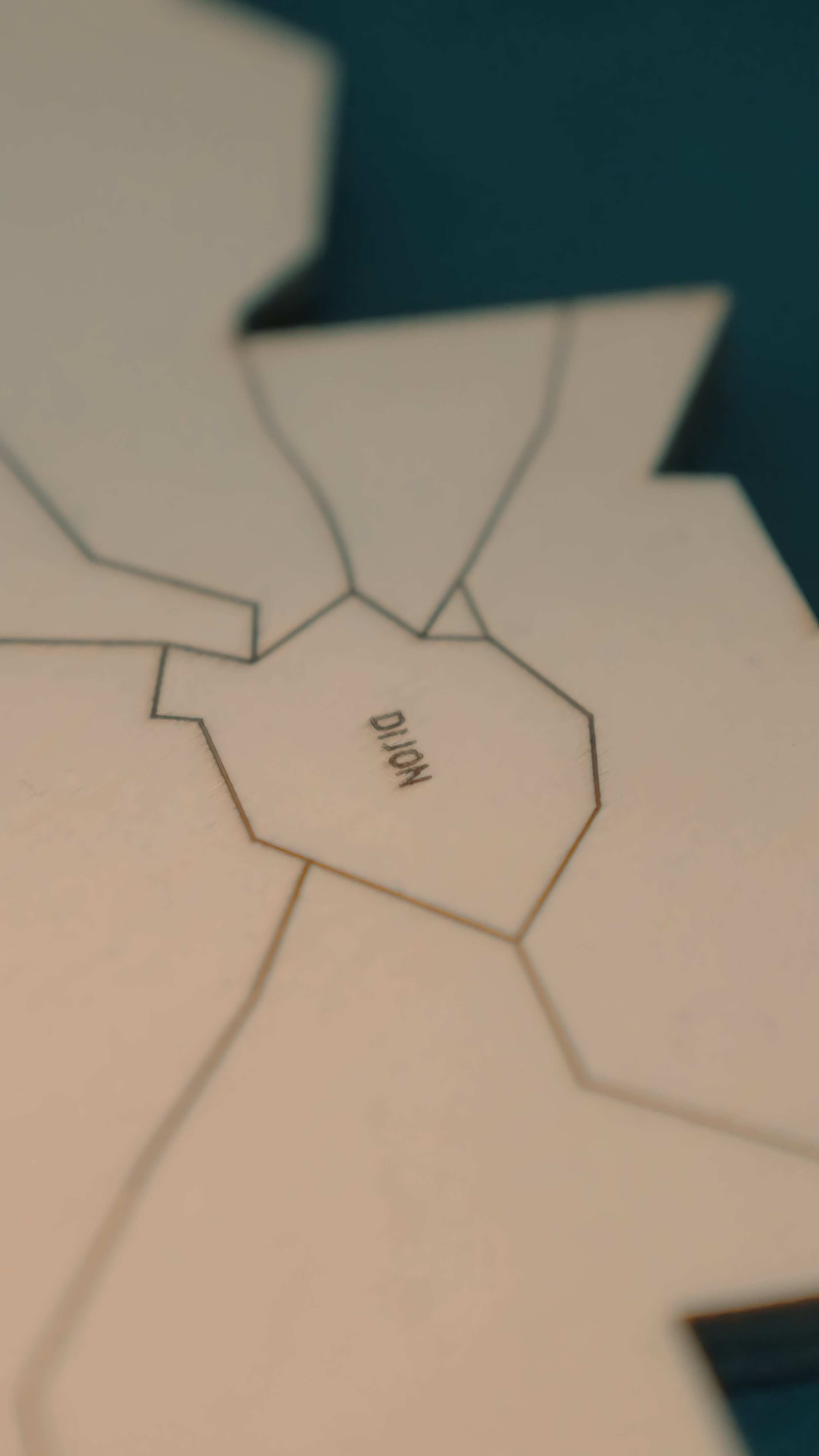 Côte de Nuits, the Puzzle Map