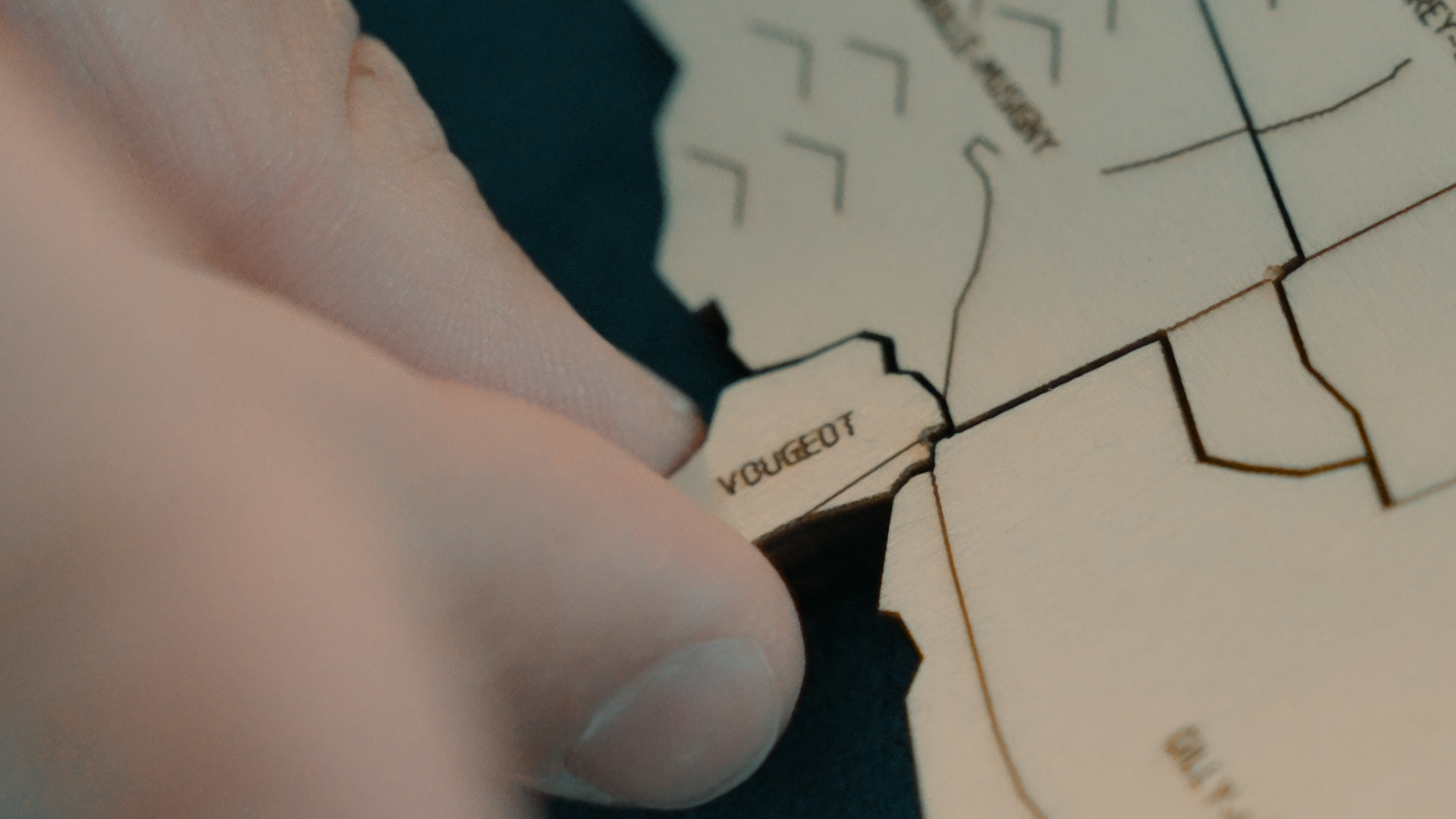 Côte de Nuits, the Puzzle Map