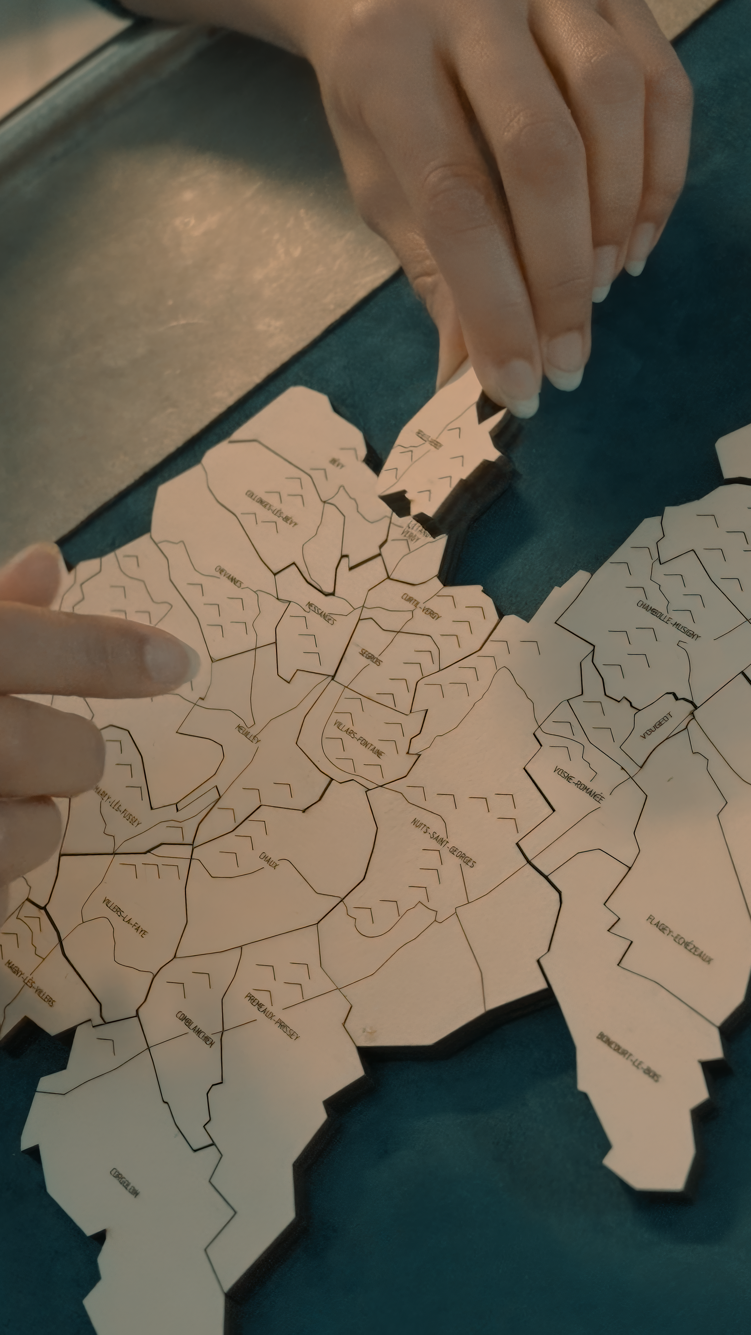 Côte de Nuits, the Puzzle Map