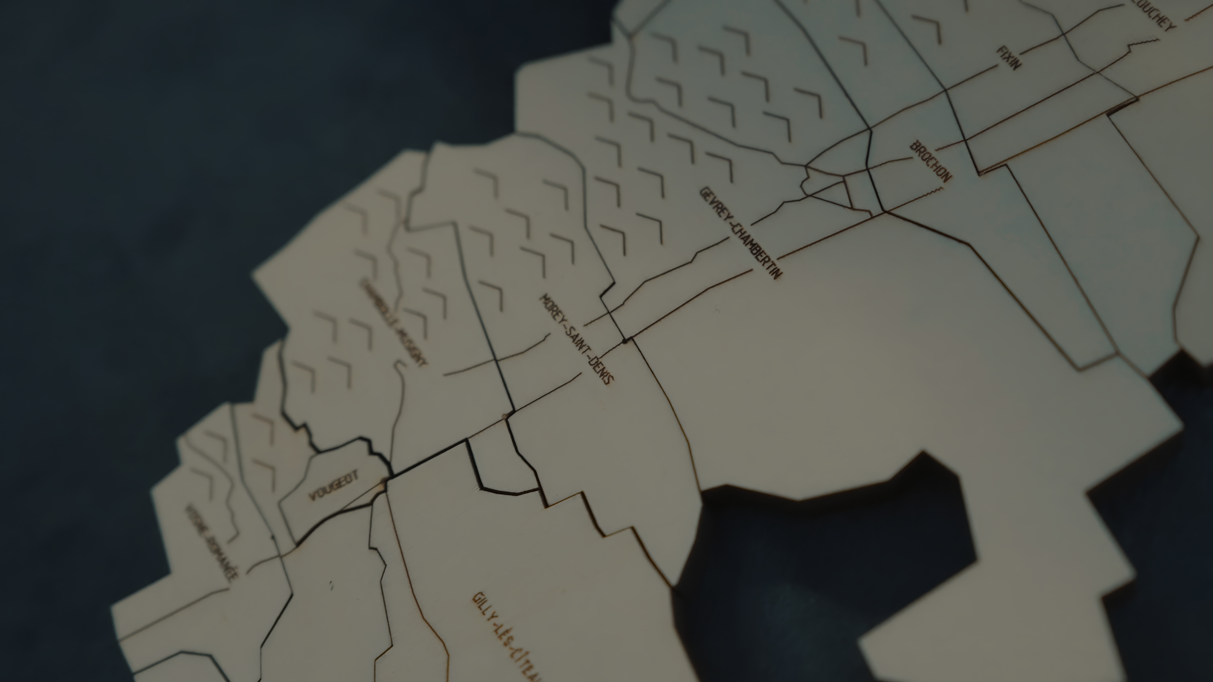 Côte de Nuits, the Puzzle Map