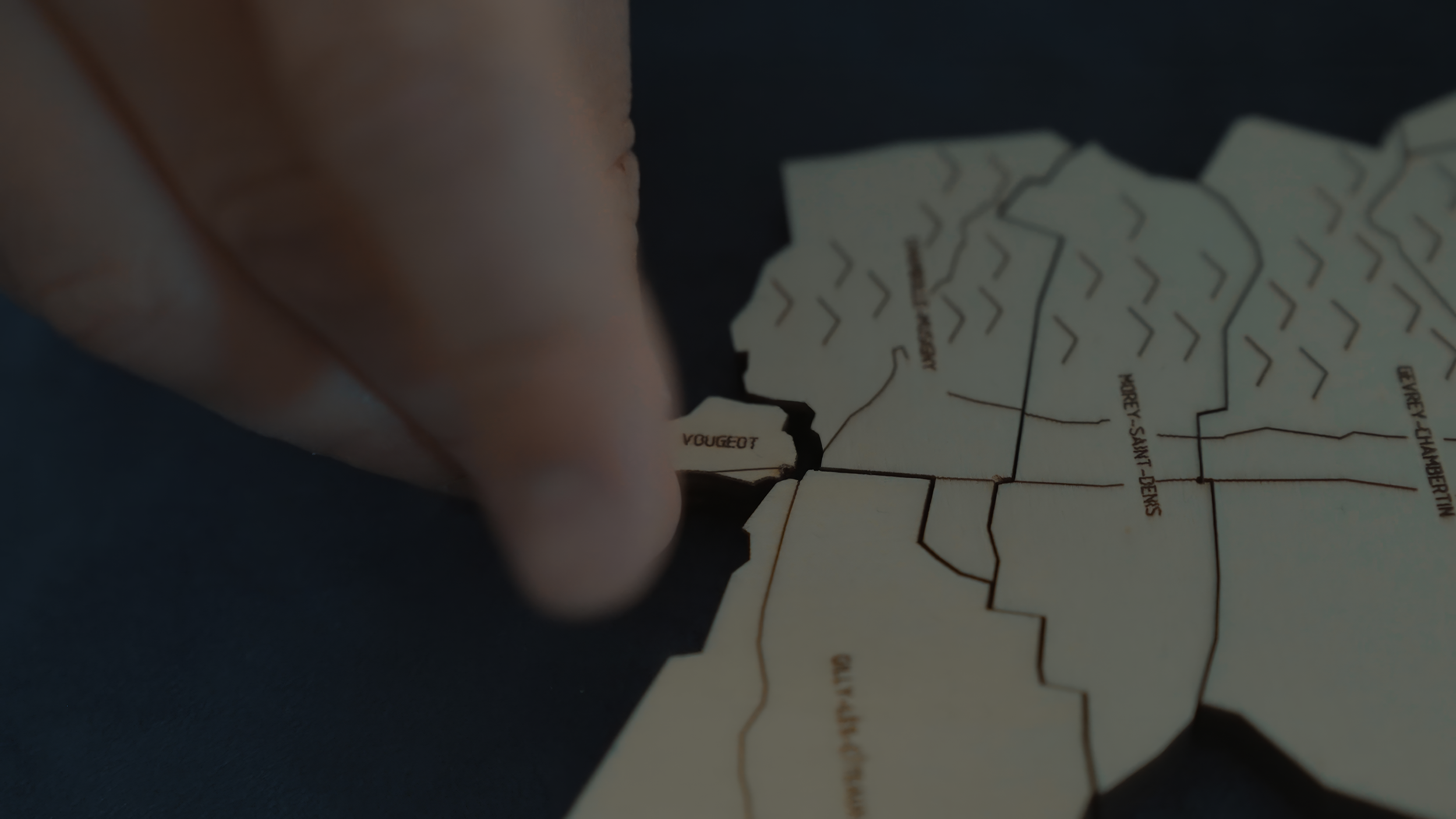 Côte de Nuits, the Puzzle Map