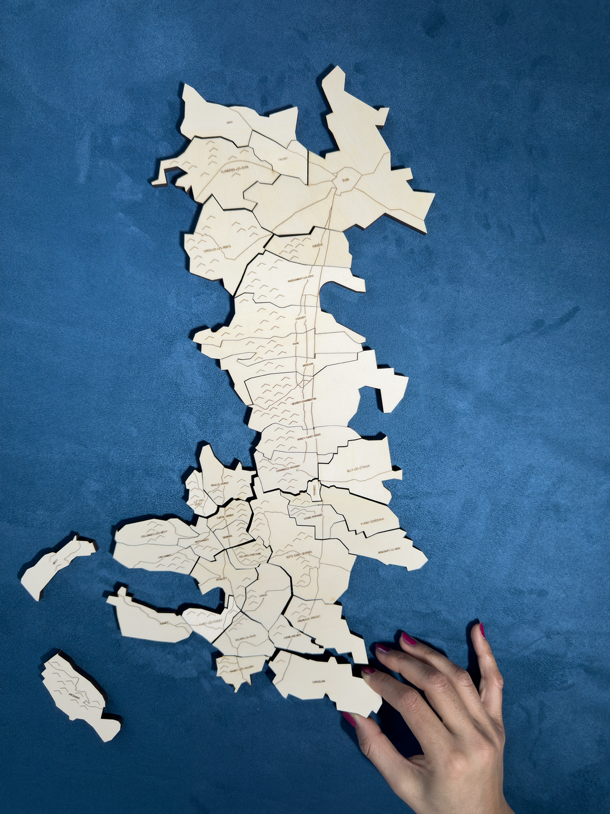Côte de Nuits, the Puzzle Map